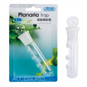 Planaria Trap