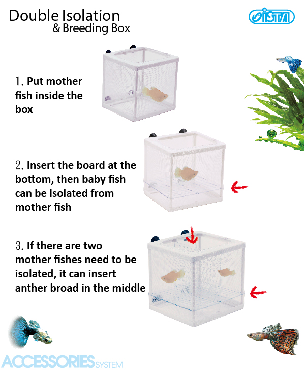 ISTA Double Isolation And Breeding Box 2