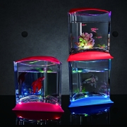 Stylish Display Case-LED Light Triangle Tank