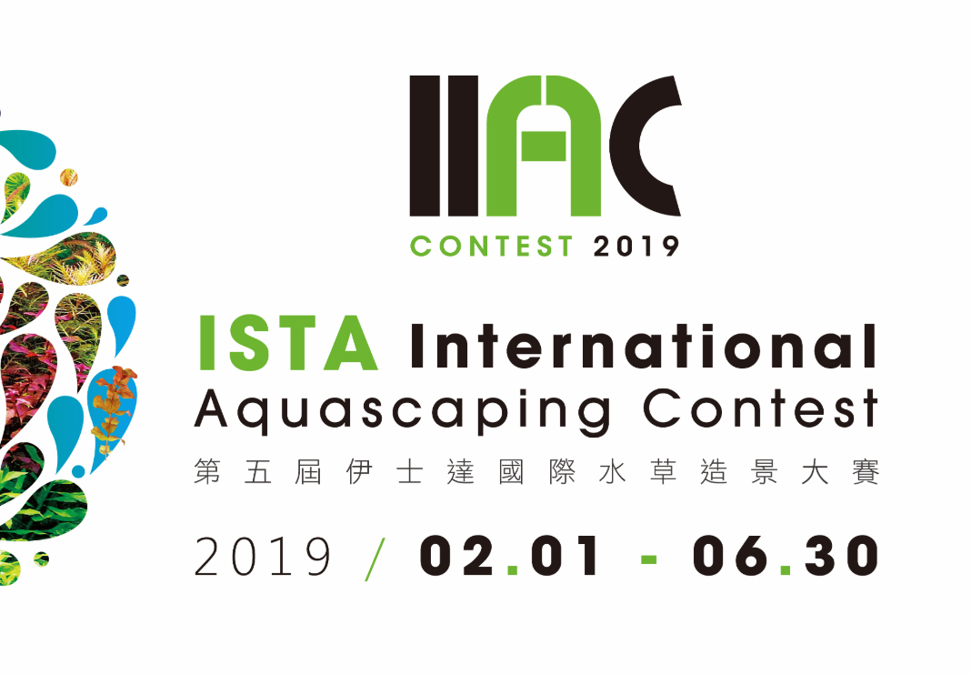 2019 IIAC contest
