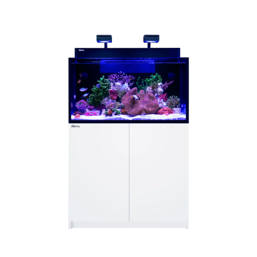 MAX_NANO_G2_XXL